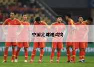 中国足球谢鸿钧