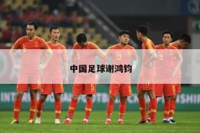 中国足球谢鸿钧