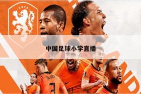中国足球小学直播